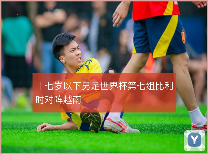 十七岁以下男足世界杯第七组比利时对阵越南