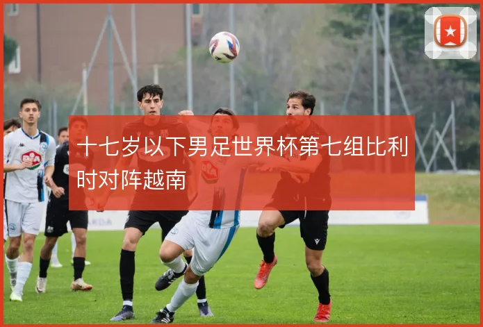 十七岁以下男足世界杯第七组比利时对阵越南